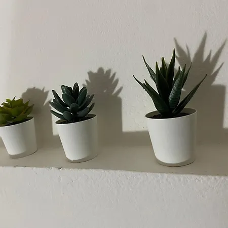 Il Profumo Dei Tigli * 伊莫拉